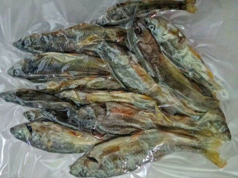 火焙鱼稻谷香味