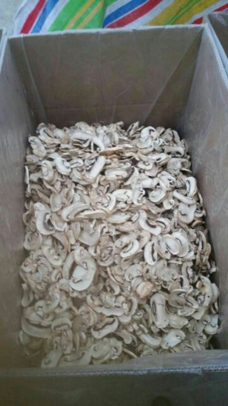 草菇2.5cm以上