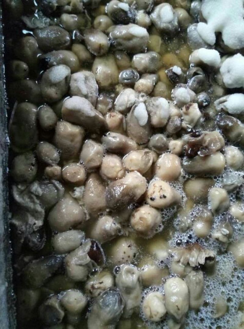 草菇2.5cm以上