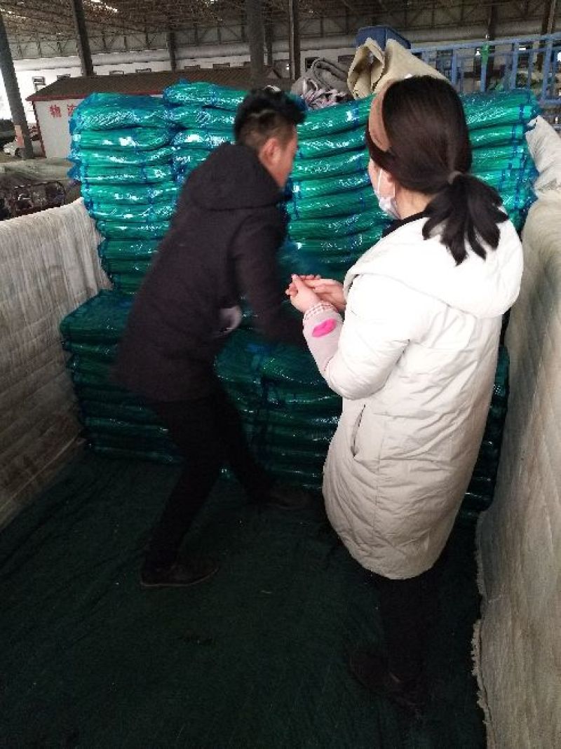 白帽蒜薹60~70厘米产地直销代办托运可精加工等一条龙