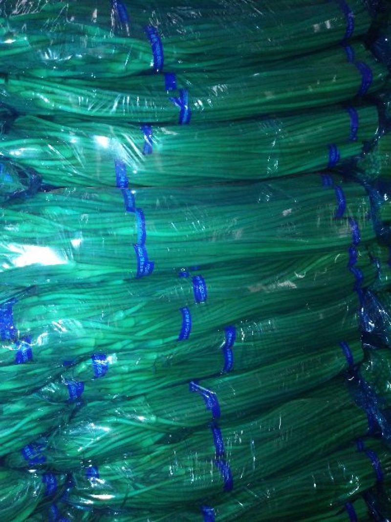 白帽蒜薹60~70厘米产地直销代办托运可精加工等一条龙