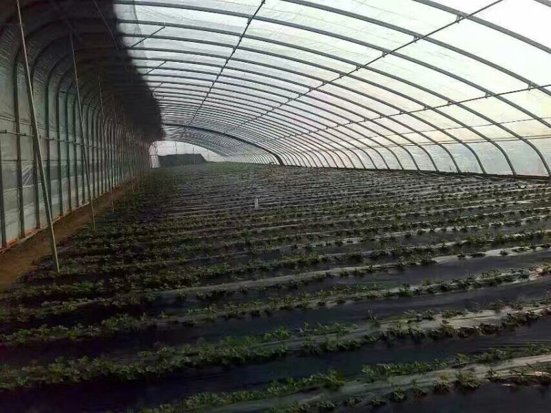 温室大棚几字钢型大棚