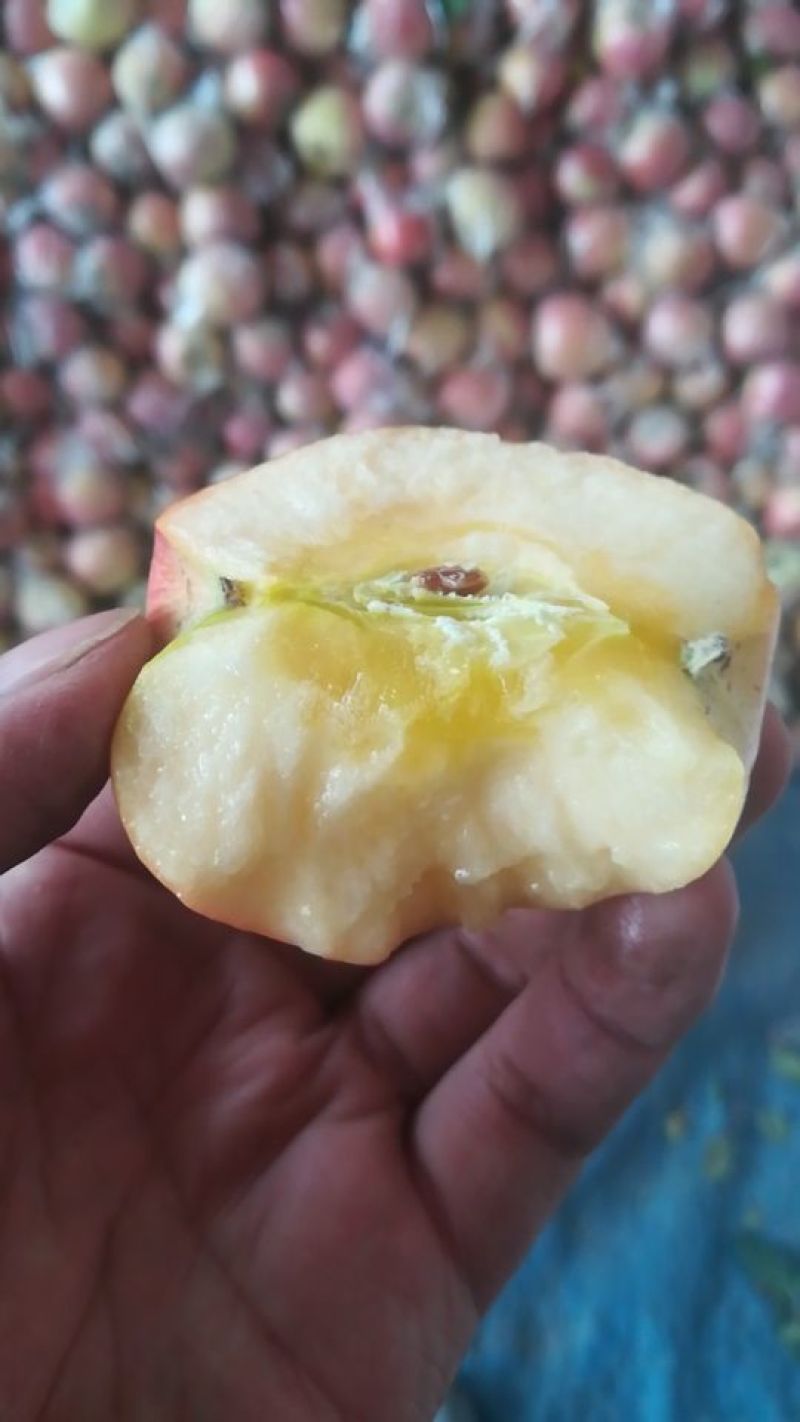 苹果75mm以上膜袋