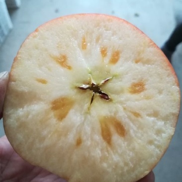 苹果75mm以上膜袋