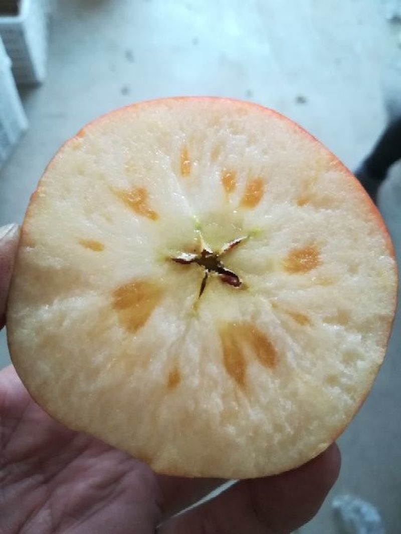 苹果75mm以上膜袋