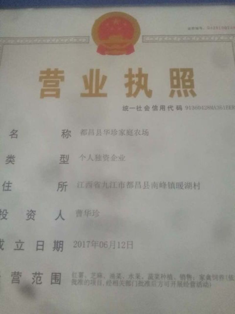 红薯淀粉散装