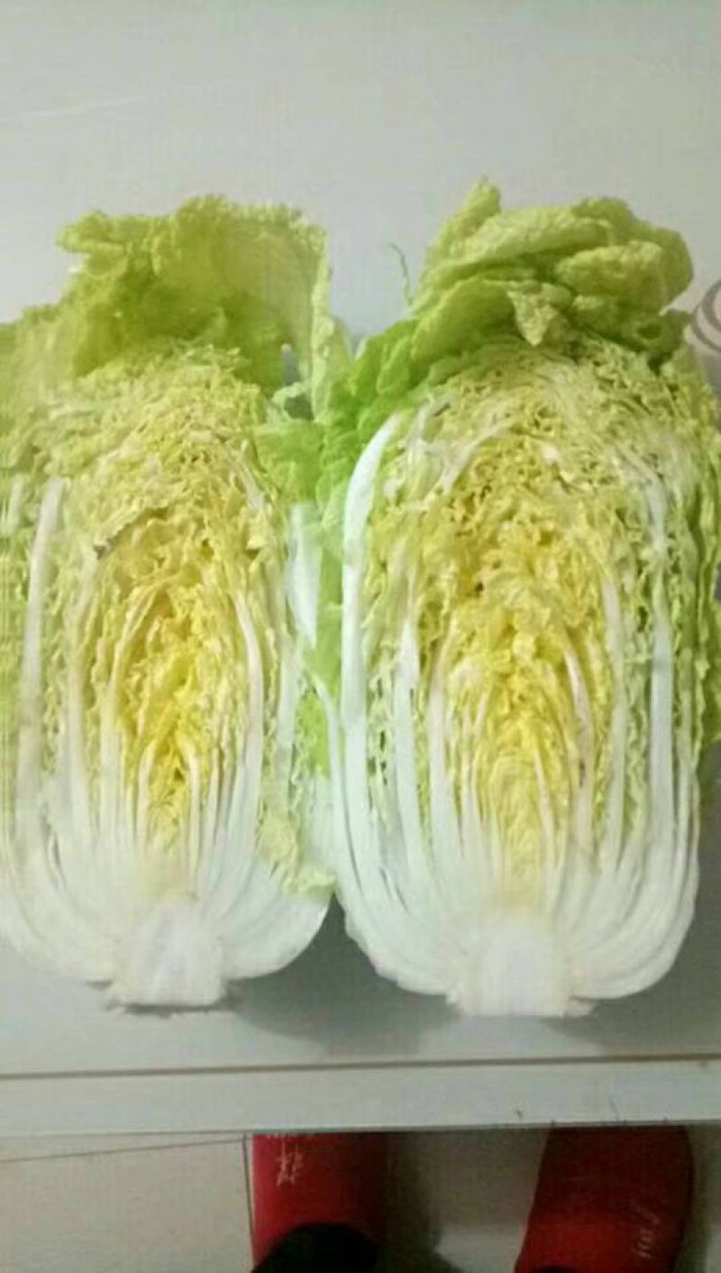 青杂三号白菜4~6斤净菜