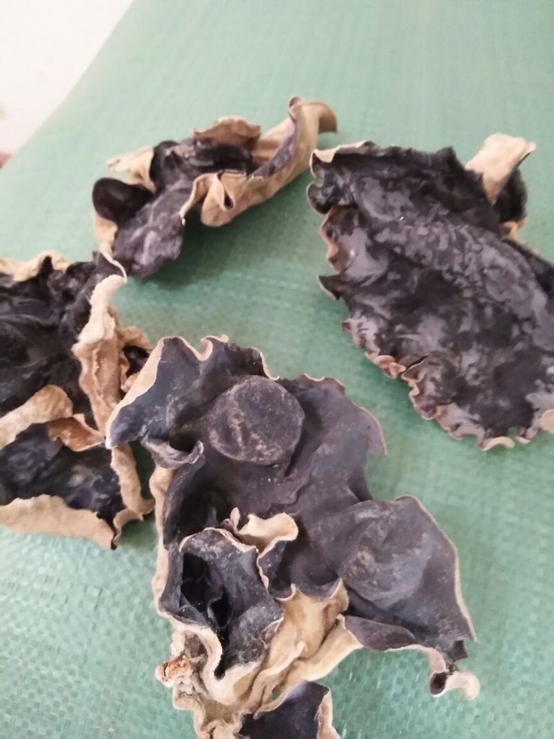 山东鱼台本地头茬毛木耳，叶片大，口感好，货量充足！