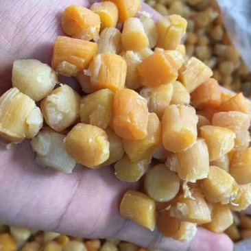 干瑶柱