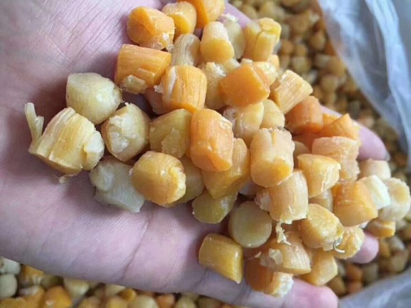 干瑶柱