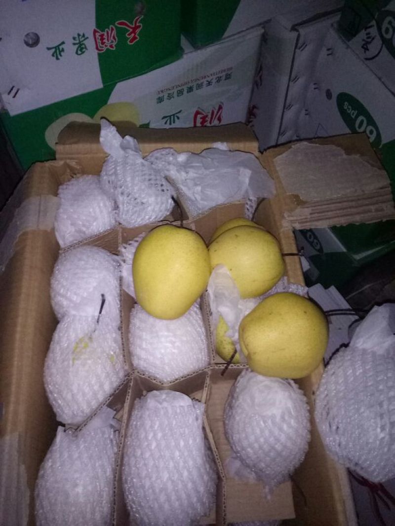 河北皇冠梨大量有货价格便宜产地直发一手货源