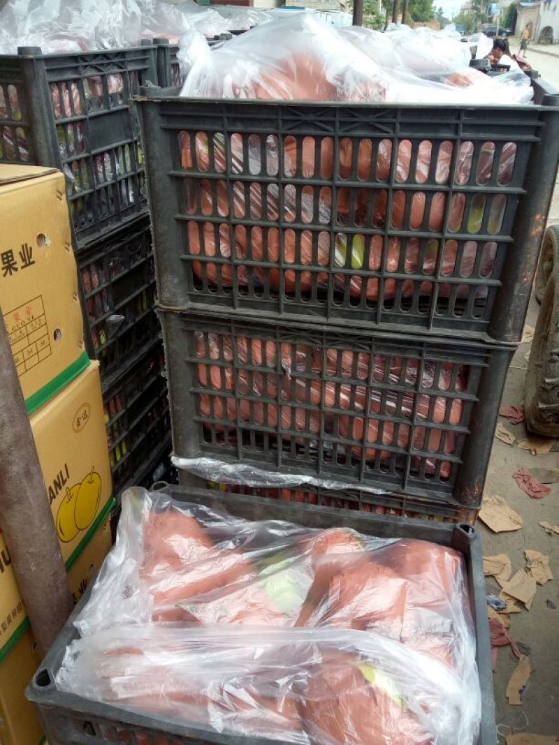 河北皇冠梨大量有货价格便宜产地直发一手货源