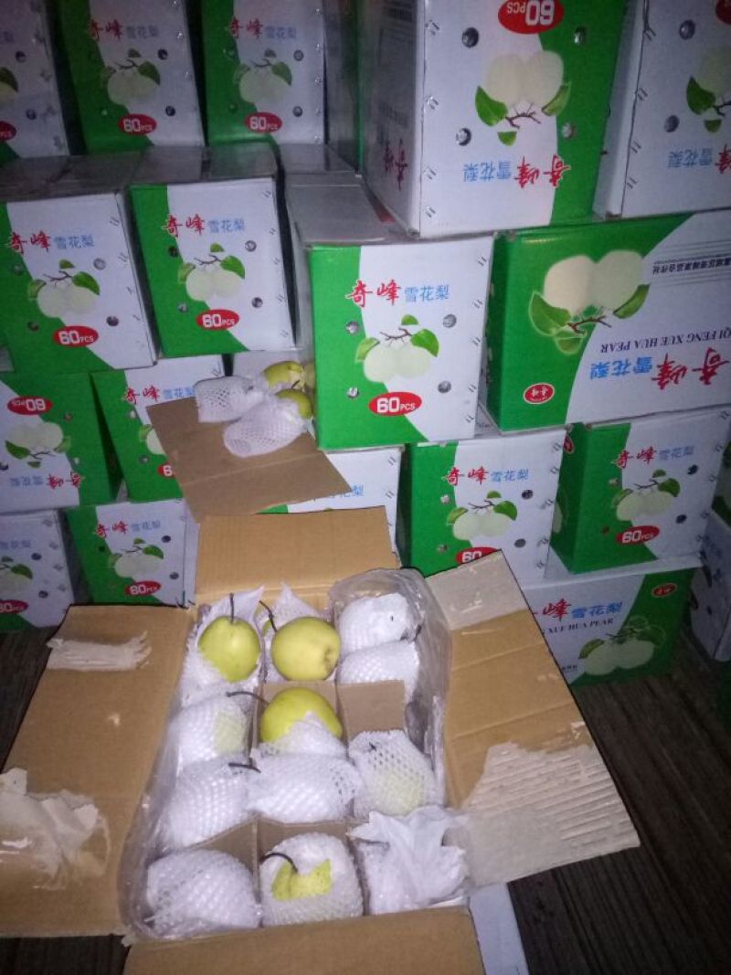 河北皇冠梨大量有货价格便宜产地直发一手货源