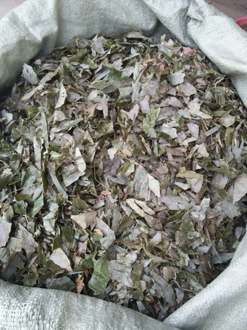 淫羊藿切段全叶