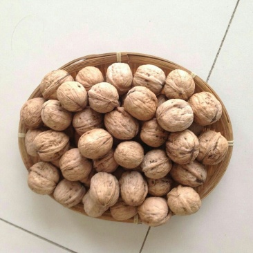 薄皮核桃去皮40mm以上干