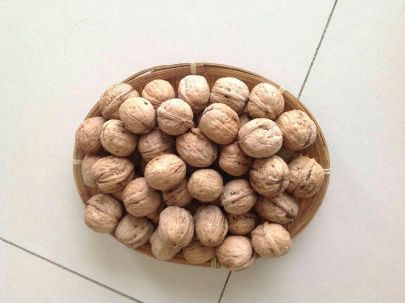 薄皮核桃去皮40mm以上干