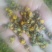 野菊花散装