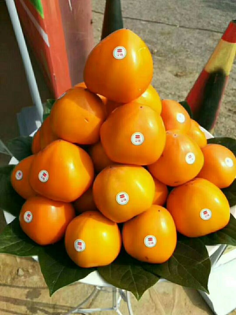 柿饼2.5两以上