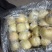 黄香蕉苹果75mm以上膜袋