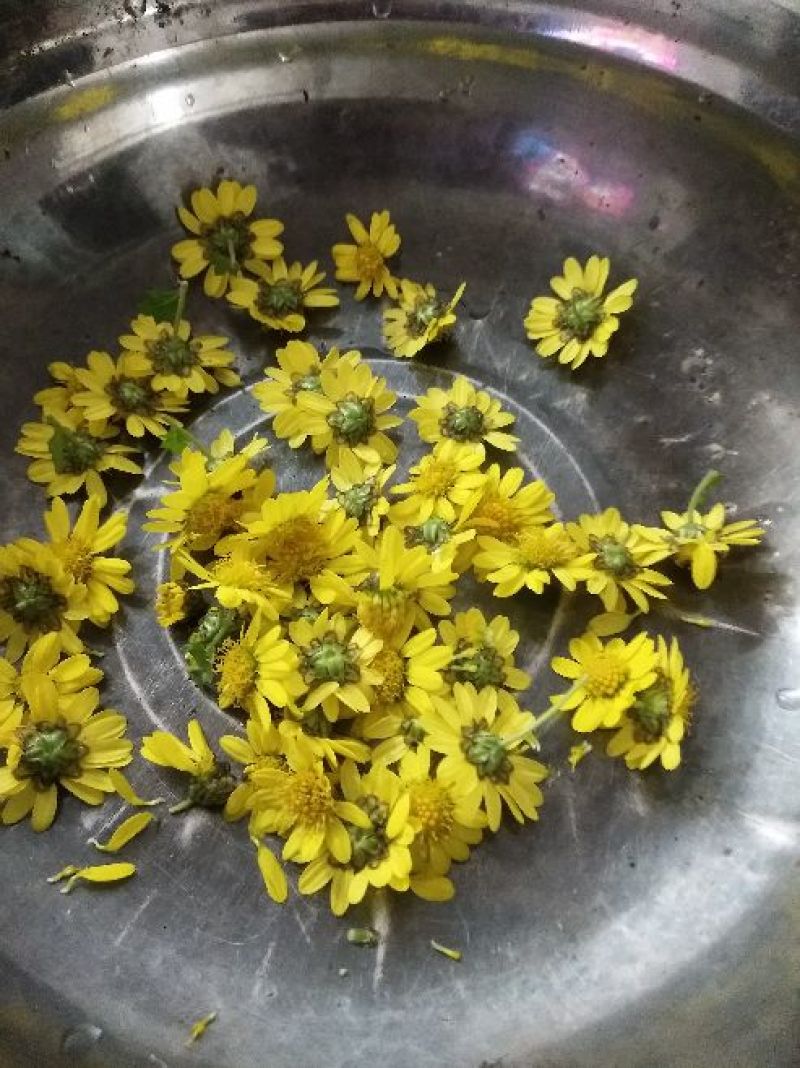 野菊花散装