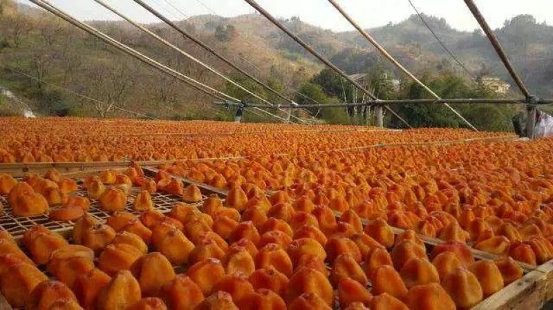 柿饼2.5两以上