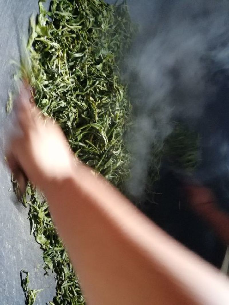 普洱茶特级