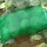 精品扁包菜甘蓝基地新货优惠上市中保质保量物美价廉
