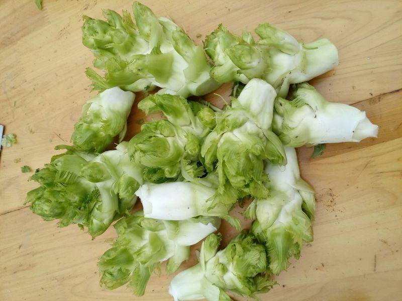儿菜1两以上