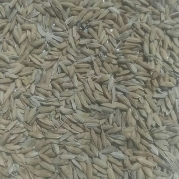 稻糠饲料