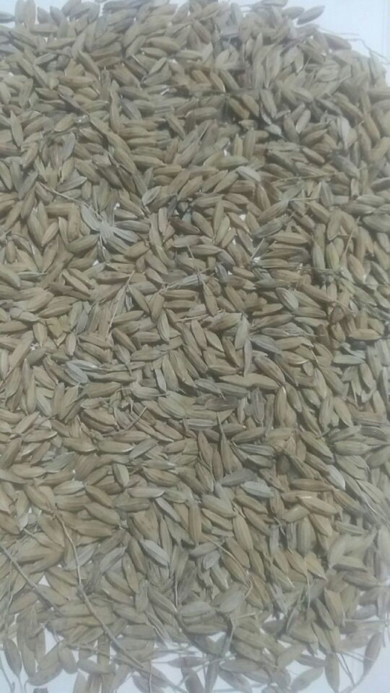 稻糠饲料