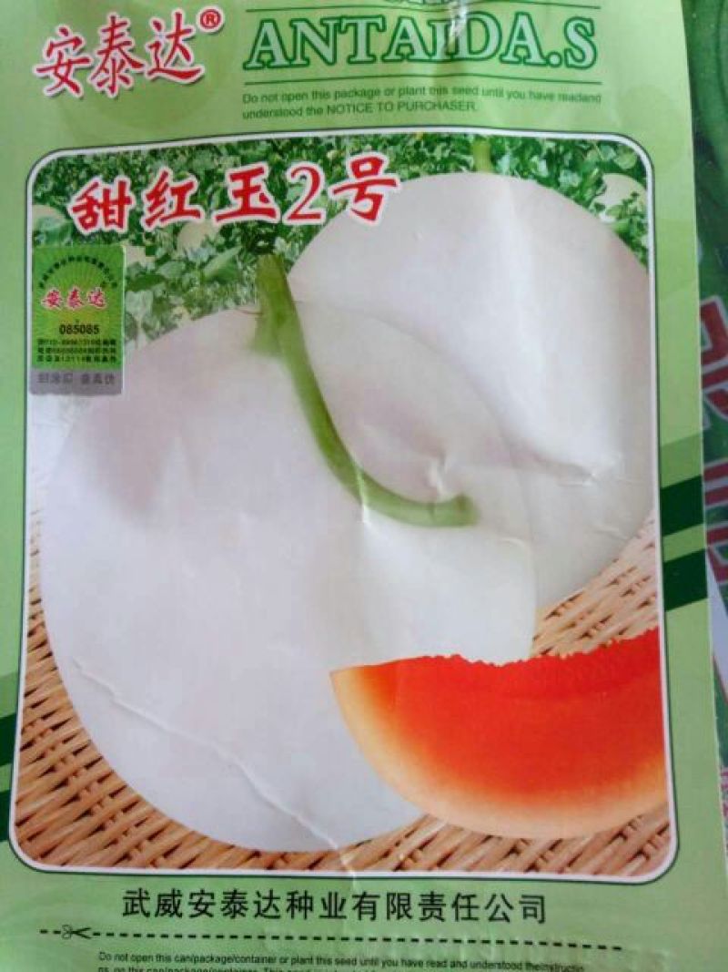 甜瓜种子