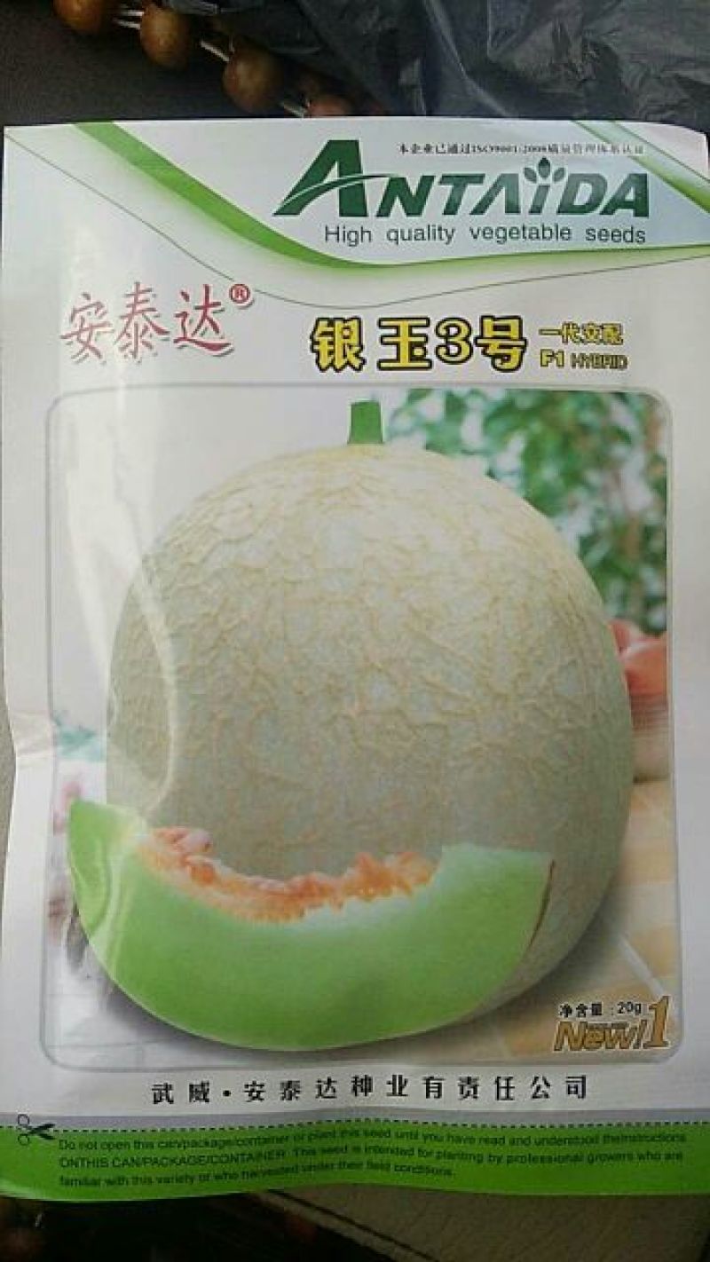 甜瓜种子