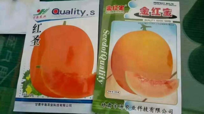 甜瓜种子