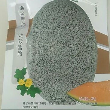 甜瓜种子