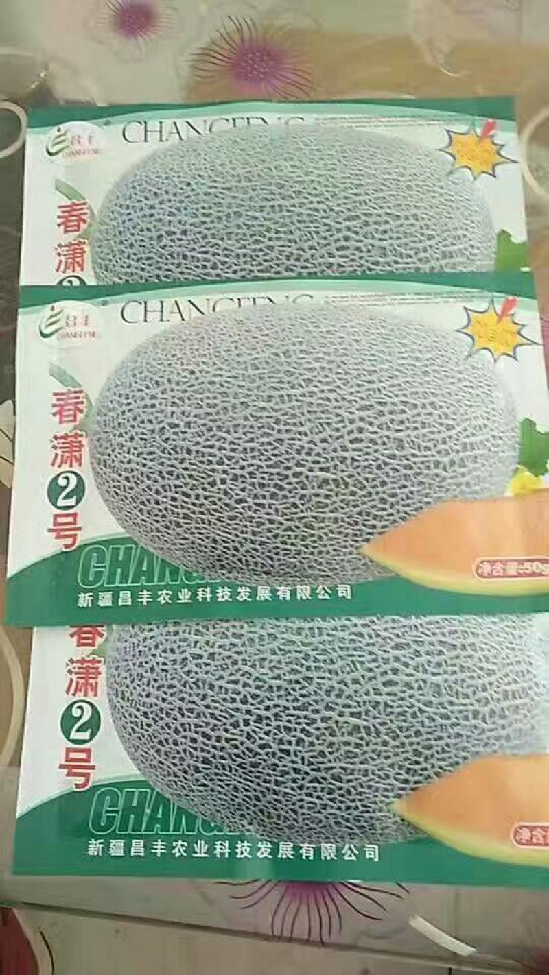 甜瓜种子