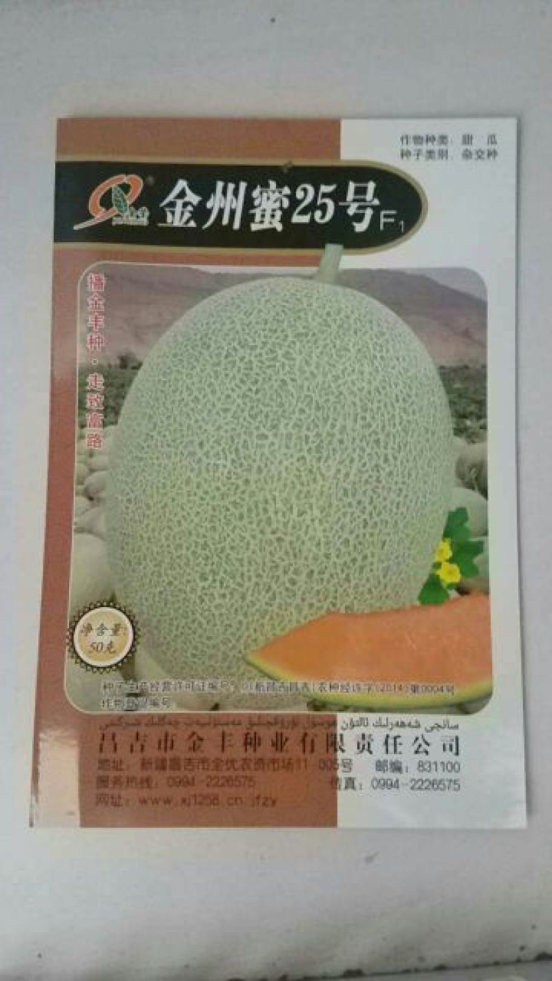 甜瓜种子