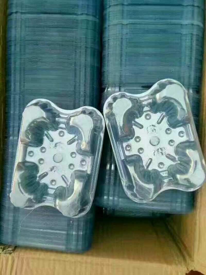甜瓜种子
