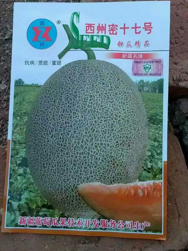 甜瓜种子