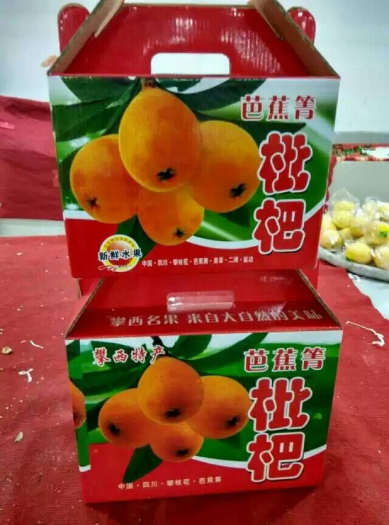 早中枇杷一级果，现摘现发