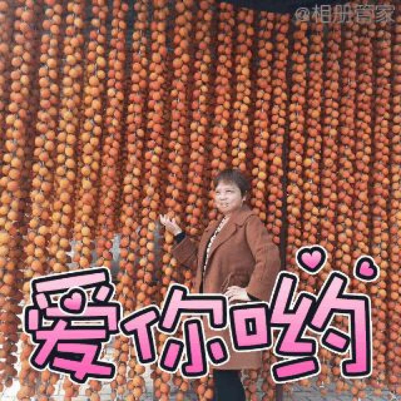 柿饼1~2两