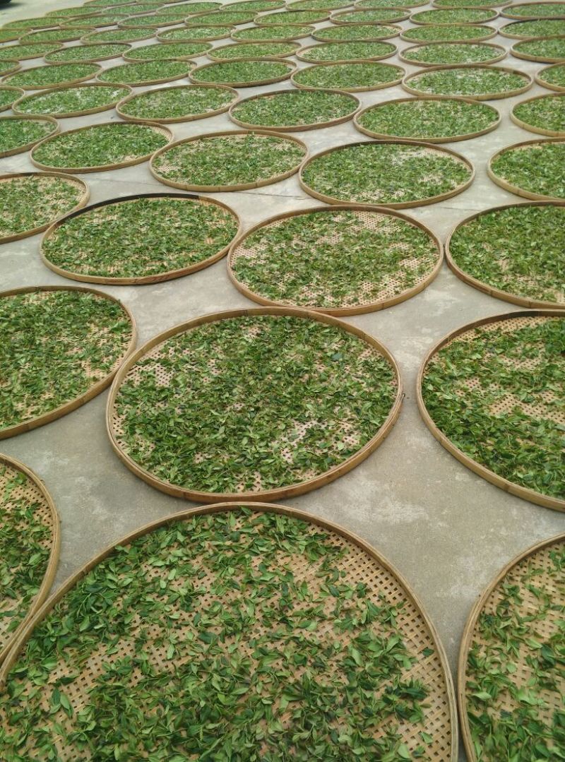 红茶特级