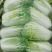 【精品】聊城大白菜4~6斤净菜专业代办服务完善