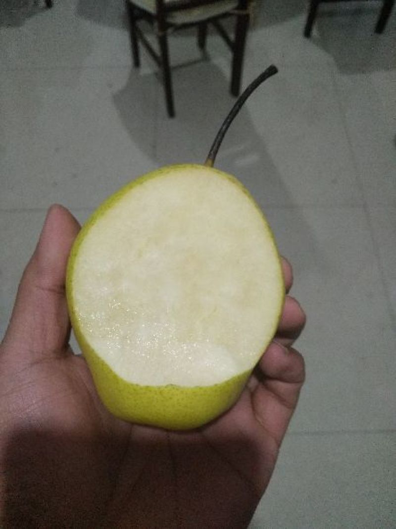 雪花梨纸箱300~350g