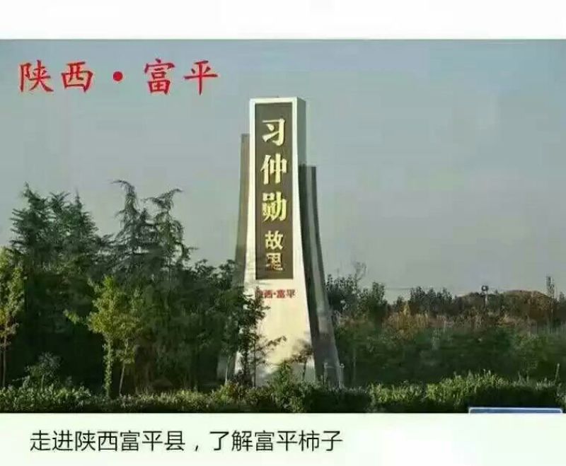柿饼1两以下