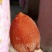 柿饼1两以下