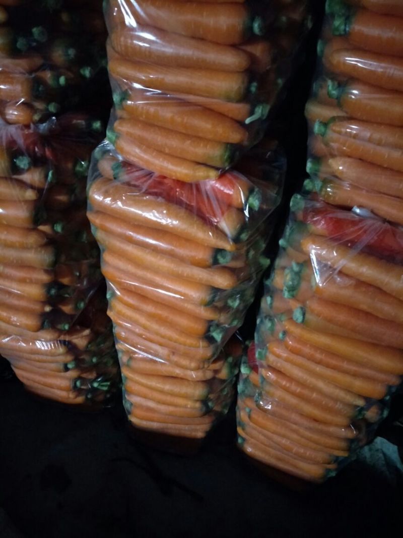 三红胡萝卜您的满意，我的追求