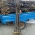 新梨7号树苗基地批发，二年苗三年苗矮化新品种付梨根系