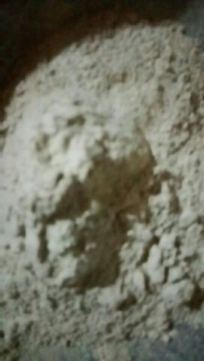三七粉