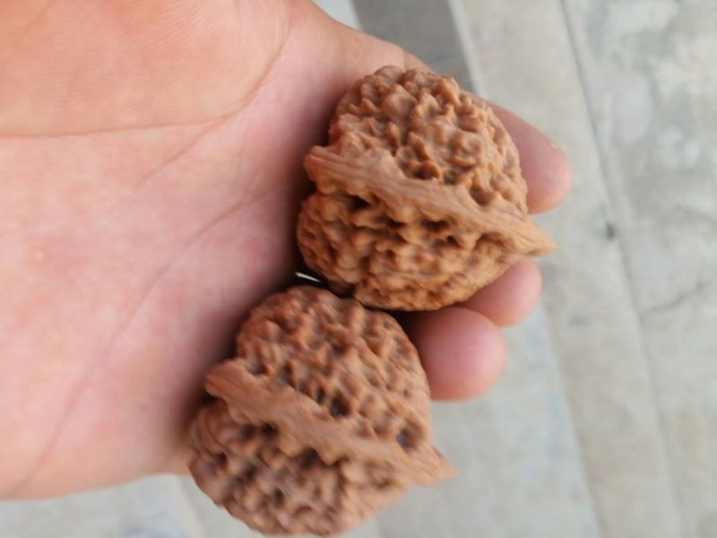 文玩核桃