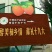 柿饼1~2两